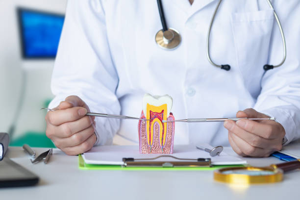 Best Pediatric Emergency Dentist in Loyola, CA
